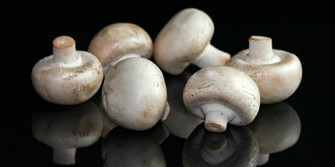 Svampe - champignon mushroomy