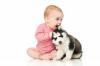 Hund og baby: reglerne for gensidig tilpasning