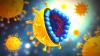 Hepatitis C-virus: hvordan man undgår smitte?