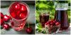 7 opskrifter forfriskende kompot solbær