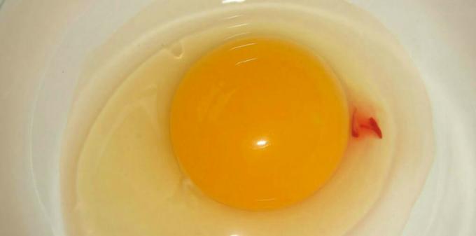Egg - æg