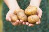Stivelsesdiæt: hvordan man hurtigt og hurtigt taber sig på kartofler