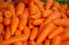 Børns komplementære fødevarer: hvordan man introducerer gulerødder i børns mad