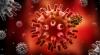 Herpes: jo mere farligt det er