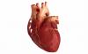 3 vigtigste faktorer, der forårsager hjertesygdomme