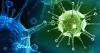 Virus: Hvordan vores krop kæmper mod dem?