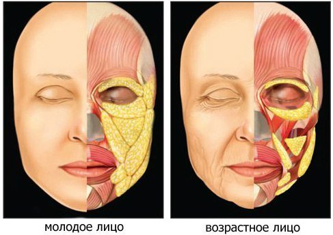 Ændring af fedt folder i ansigtet med alderen