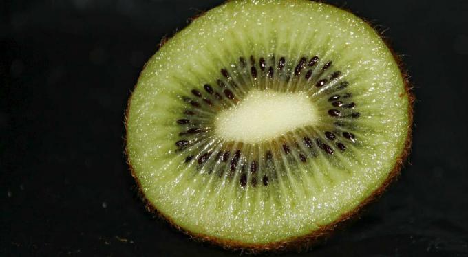 Kiwi frugt - kiwi