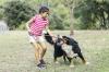 Hvad skal man gøre, hvis et barn bliver bidt af en hund: svaret fra en infektionsspecialist