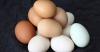 Fjernet myten om de kontroversielle skade æg