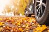 Forsigtighed, efterår: top 9 tips til chauffører, der kan redde liv