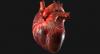 10 produkter, der har en positiv effekt på hjertet